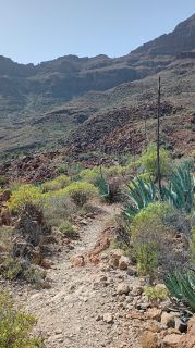 GC-Mirador de Arteara 2026-12.jpg